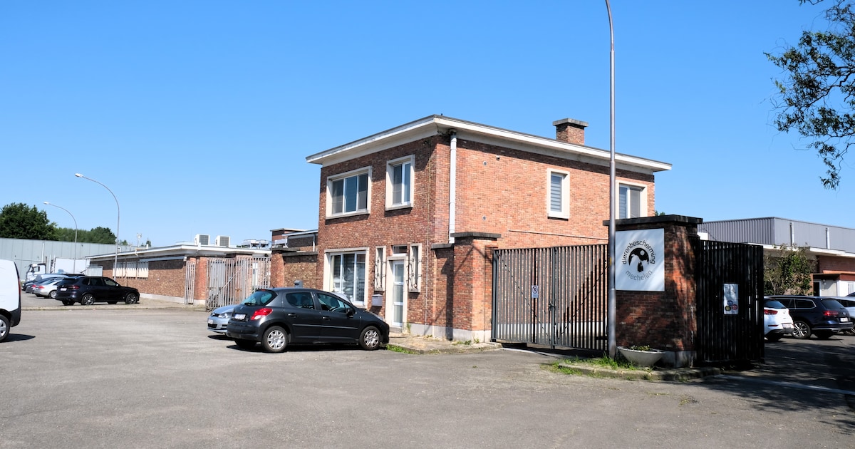 Tot 215 fossielvrije woningen en meer groen langs de Vrouwvliet: dit zijn de plannen voor de Slachth