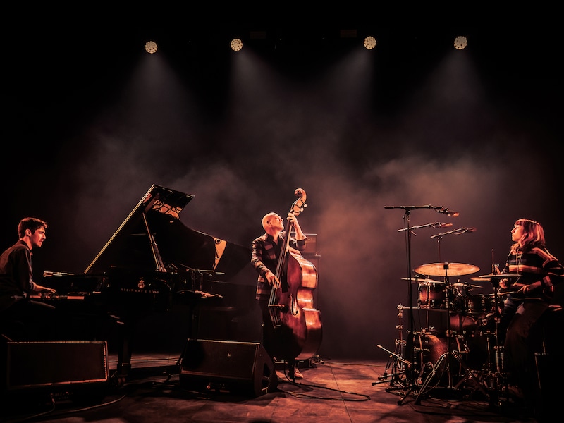 Avishai Cohen Trio.