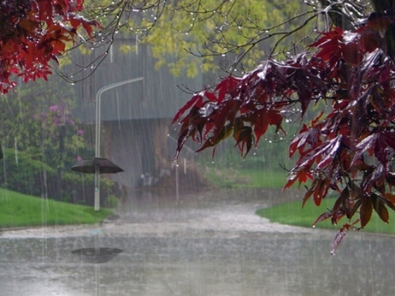 'Lampbrella'