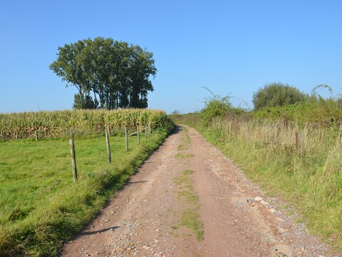 De Vlamovenkouter in Denderleeuw.