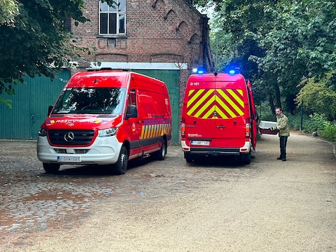 De brandweer hielp de duif uit het water