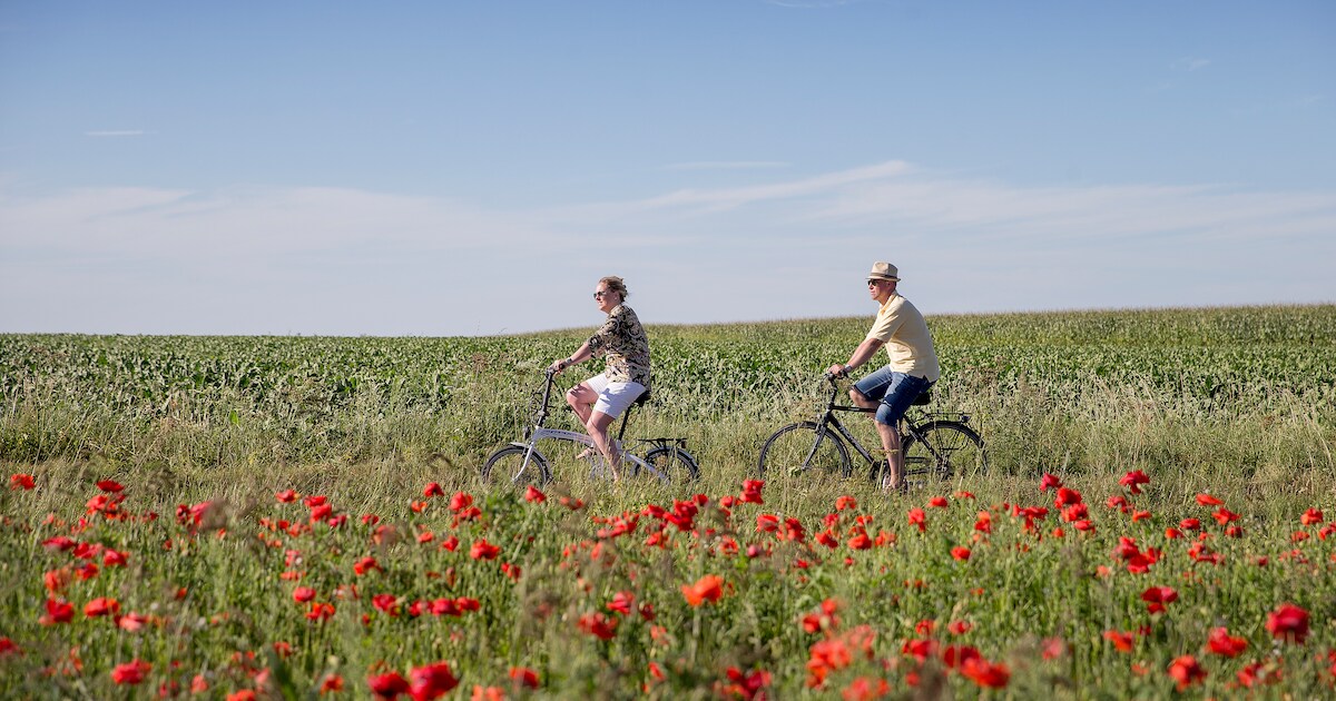 Veiligere fietsverbinding tussen Schore, Sint-Pieterskapelle en Mannekensvere