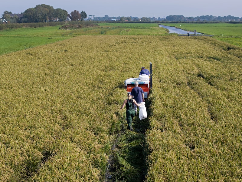 Beeld ter illustratie - tijdens de ontmoetingsavond kunnen zowel lokaal talent als bedrijven elkaar rechtstreeks spreken
