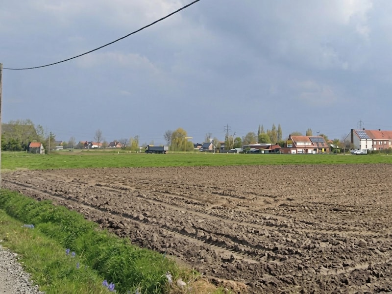 Plannen voor verkaveling met 45 woningen tussen Bruggestraat en Ringlaan krijgen vorm: “Grootste woonproject van deze legislatuur”
