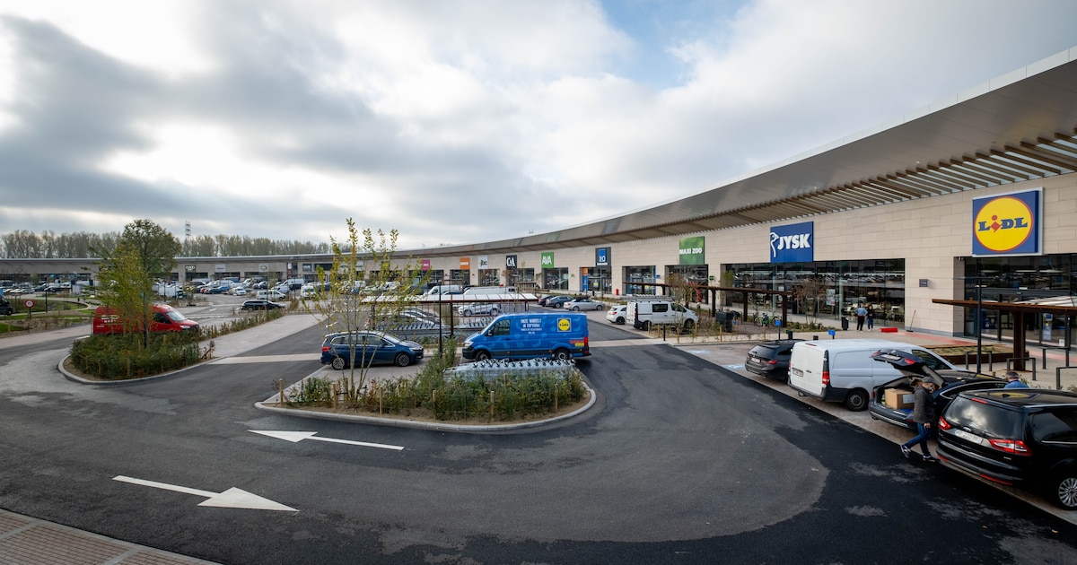 Diefstal van pistachenootjes kan tweetal uit Georgië duur komen te staan: “Hij leefde in zijn auto”