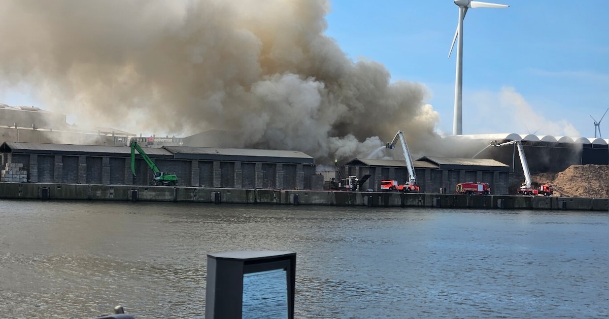 Smeulende berg houtschilfers in Gentse haven veroorzaakt na 36 uur nog ...