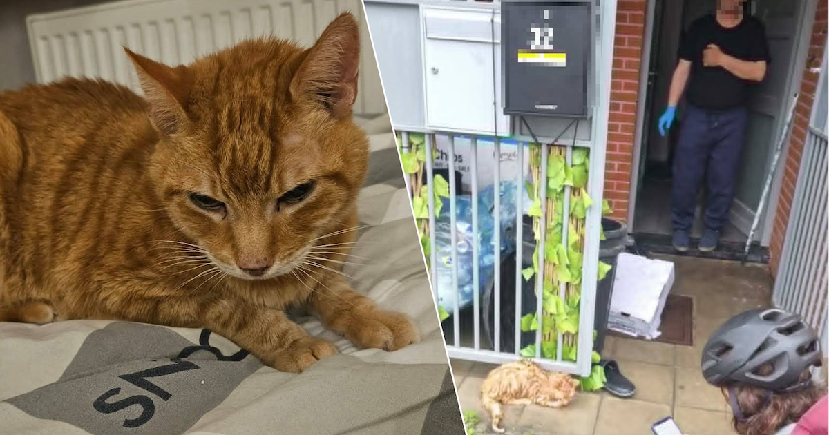 Katje Gucci (15) ontsnapt even uit huis in Gentbrugge en wordt ...