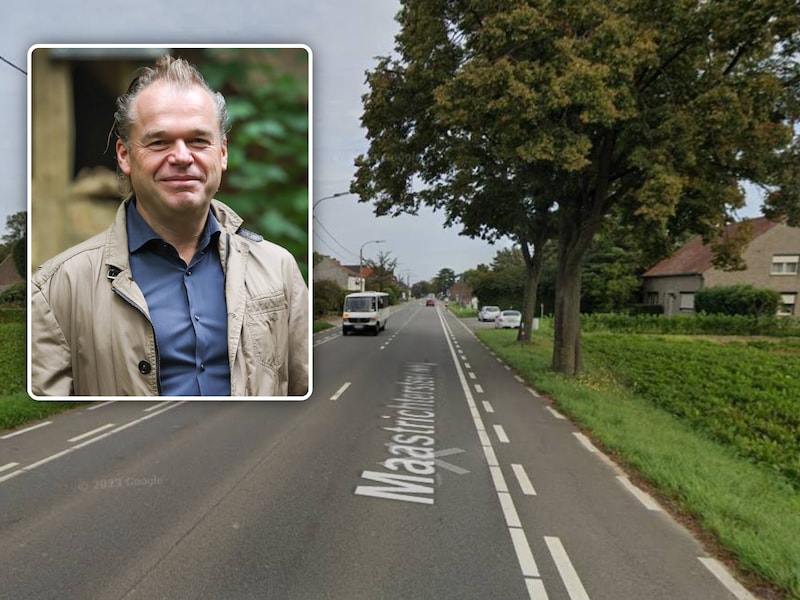 De boom viel om langs de Maastrichtersteenweg in Riemst. Inzet: Burgemeester Mark Vos (CD&V).