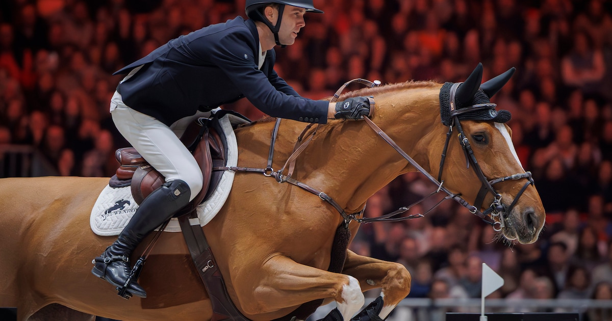 Na een razend spannende ontknoping: Belgische ruiter Gilles Thomas wint jumping van Mechelen