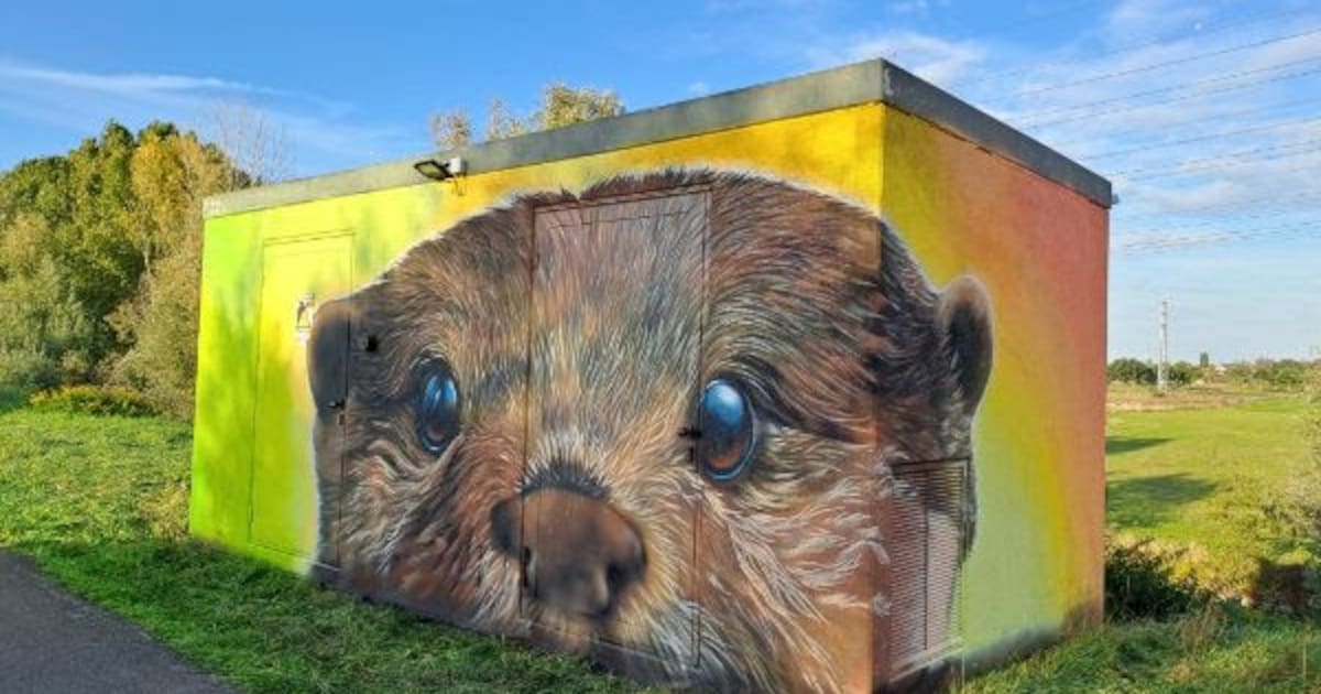 Kunstwerk van grote otter fleurt elektriciteitscabine langs Rupeldijk op