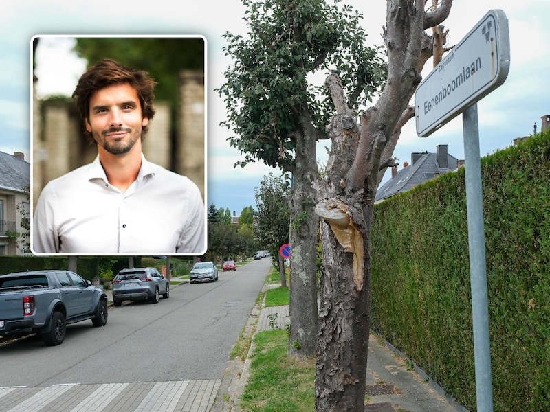 Onder meer in de Eenenboomlaan komt een grote zone 30-wegmarkering. Inzet: Schepen Lukas Schillebeeckx.