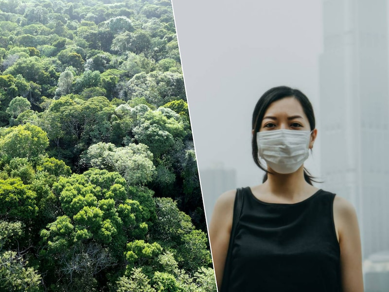 Meer fijnstof in Amazonewoud dan in wereldsteden als Londen of Peking