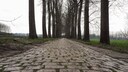 Het Netbos in Moerbeke, de 2,5 km lange vijfsterrenstrook van de tocht