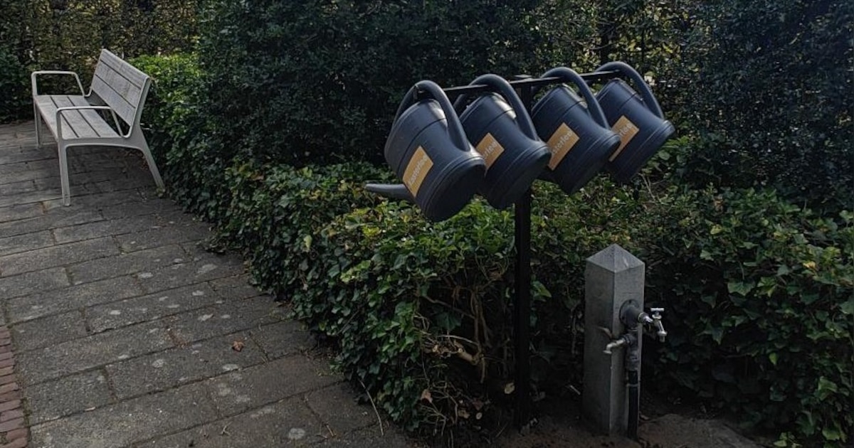 Kasterlee plaatst gieterbomen op begraafplaatsen: “Bezoekers hoeven geen emmers meer mee te brengen”