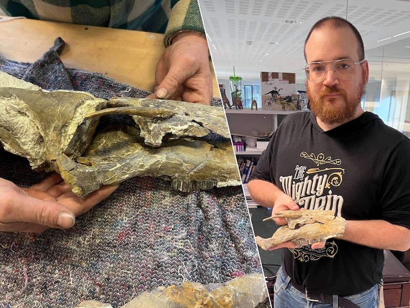 Paleontoloog Filippo Bertozzo van het Instituut voor Natuurwetenschappen met de schedel van de Cariocecus bocagei.