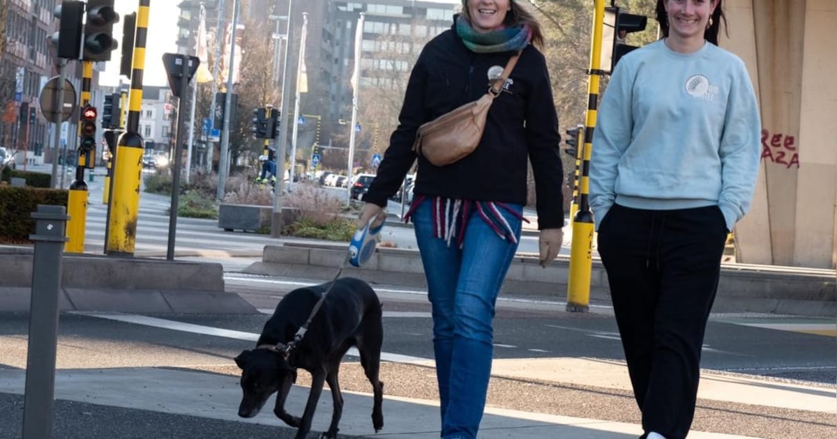 Sportstudio daagt iedereen uit: “75 dagen lang elke dag 7.500 stappen zetten”