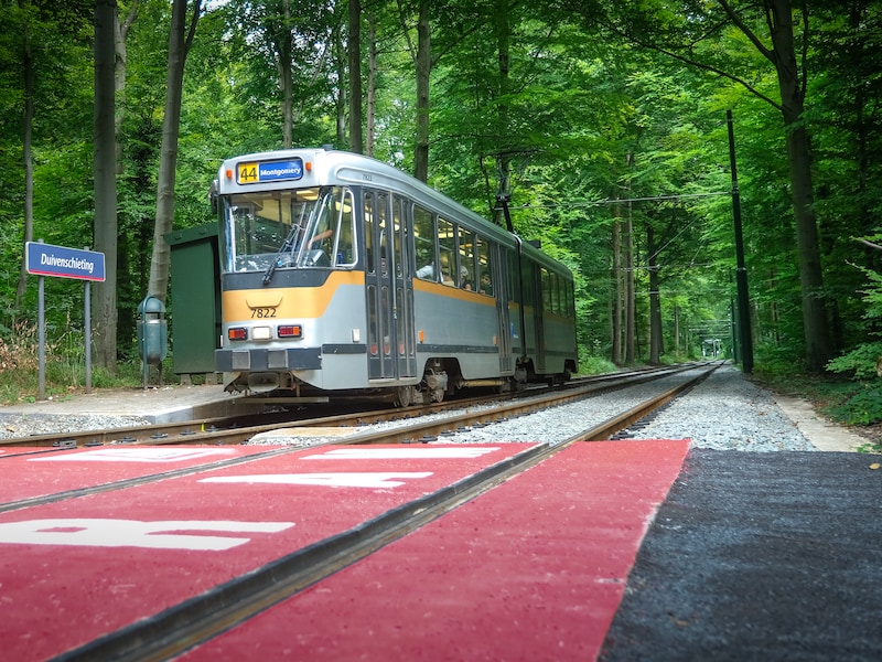 Tram 44, ook wel bekend als de ‘bostram’ in Tervuren.