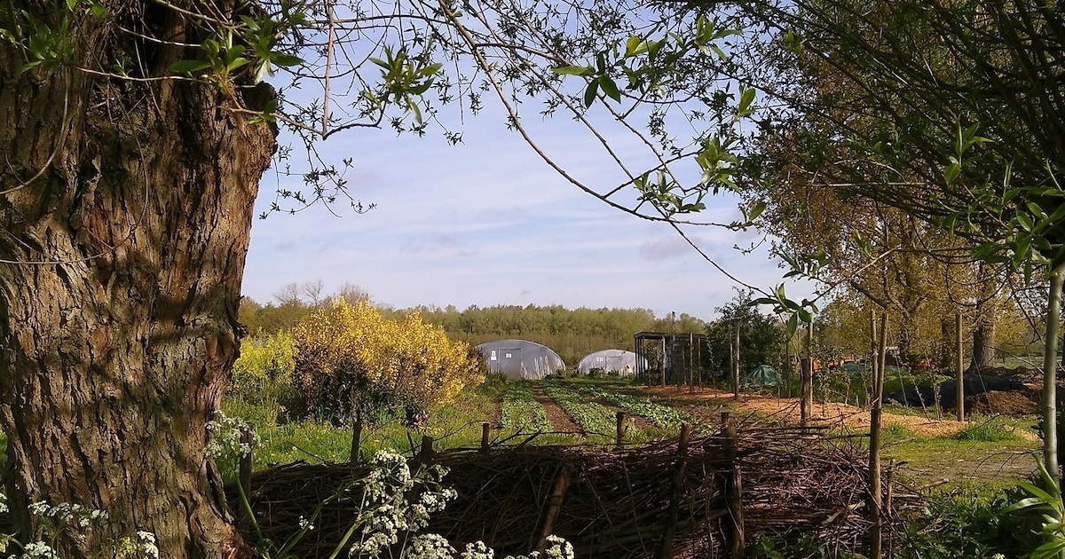 Plukboerderij Zinckval zoekt nieuwe leden voor oogstseizoen
