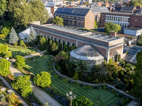Leuven Kermis zet dieren en natuur in de kijker: ontdek kippen, bijen, aquaria en terraria in de Kruidtuin