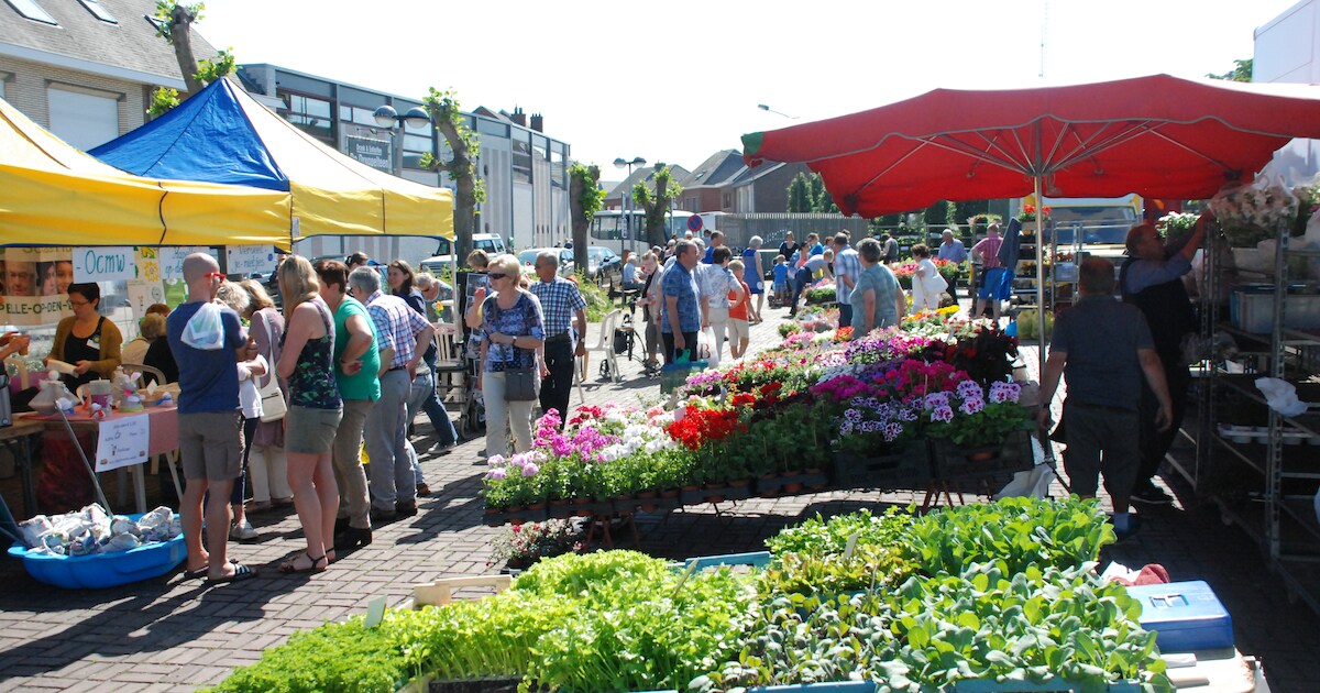 Kapelle-op-den-Bos past parkeerbeleid Marktplein aan op marktdagen