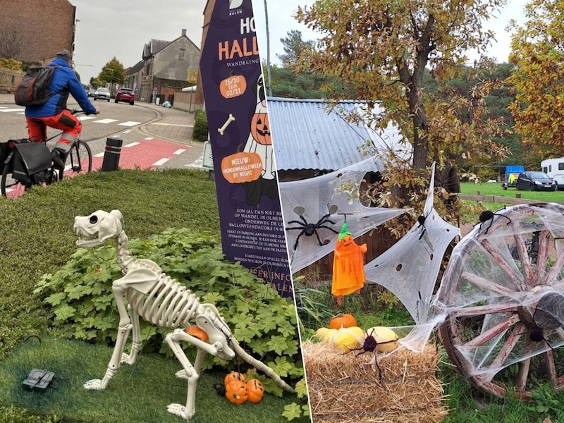 Dit weekend is het griezelen geblazen met ondermeer Hondenhalloween in Olmen en Halloween op kindermaat in Noorderwijk.