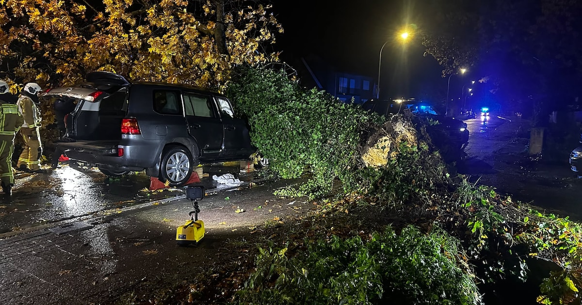 Gezin waarschuwde gemeente meermaals voor eik die wagen verpletterde in ...