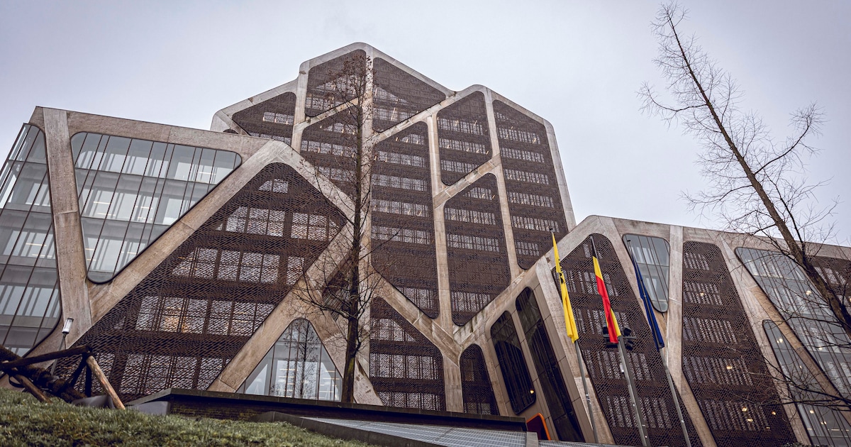 Dertiger voor de rechter na agressie tegen vriendin en ouders: “Hij verklaarde dat hij door de cocaï