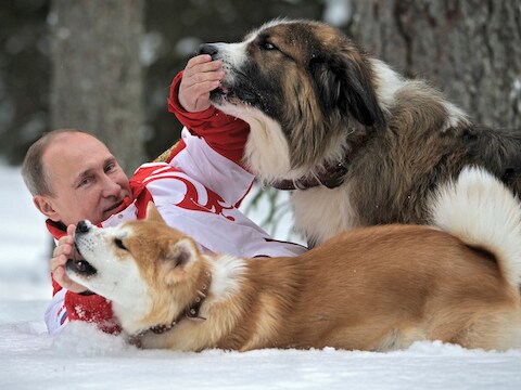 President Poetin met twee honden in de buurt van Moskou, in maart. De foto werd vandaag door een Russisch persagentschap verspreid.