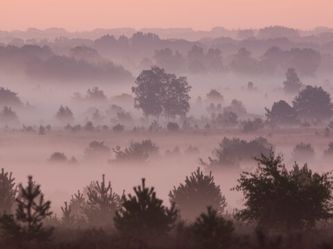 Opklaringen en lokaal nevel of mist in Glabbeek in de nacht