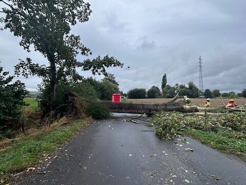De boom kwam over de hele rijbaan terecht. 