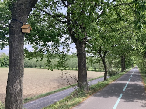Archiefbeeld populaire fiets- en wandelpad tussen Lokeren en Eksaarde