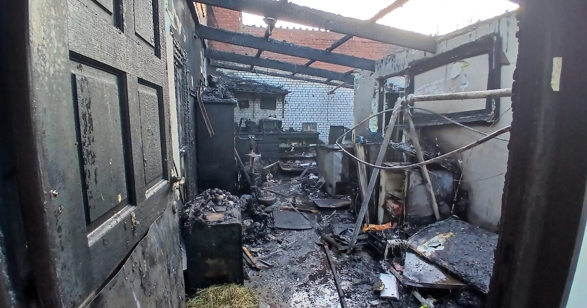 Debbie getuigt over verwoestende brand bij haar ouders in Hasselt: “Een van de honden kon nét uit de