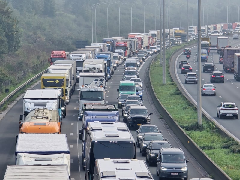 Illustratiebeeld van file op de E17