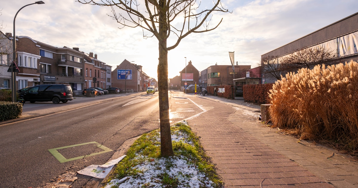 Stad vernieuwt dit jaar Battelsesteenweg: “Versmallen weg aan school en herstellen historisch bomene