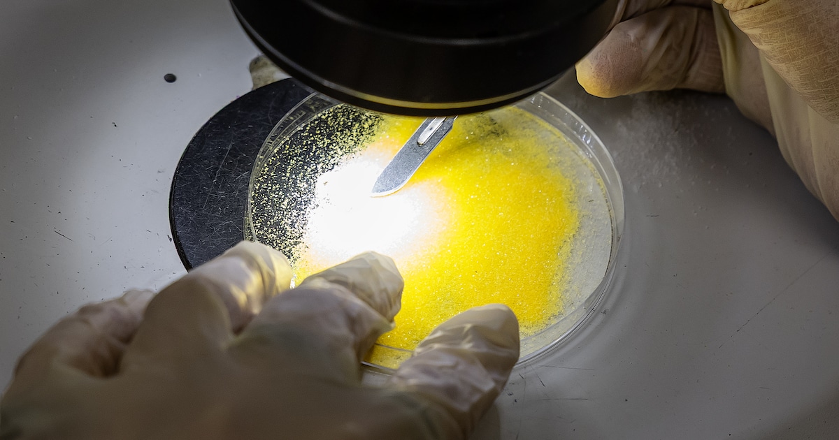 Stad Nieuwpoort geeft advies over speelzand, dat mogelijk asbest bevat