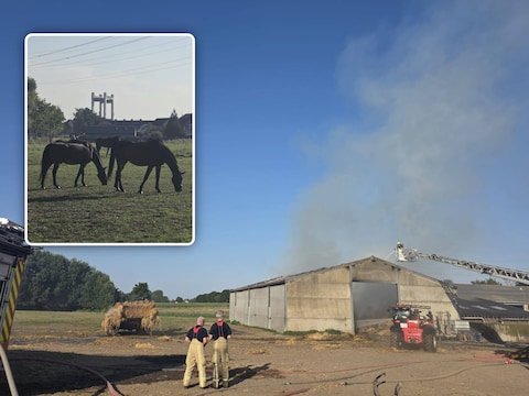 Een schuur vol hooi aan manège Verbrande Brug in Eppegem brandde uit. Er viel één zwaargewonde, maar de aanwezige paarden werden gelukkig op tijd geëvacueerd.