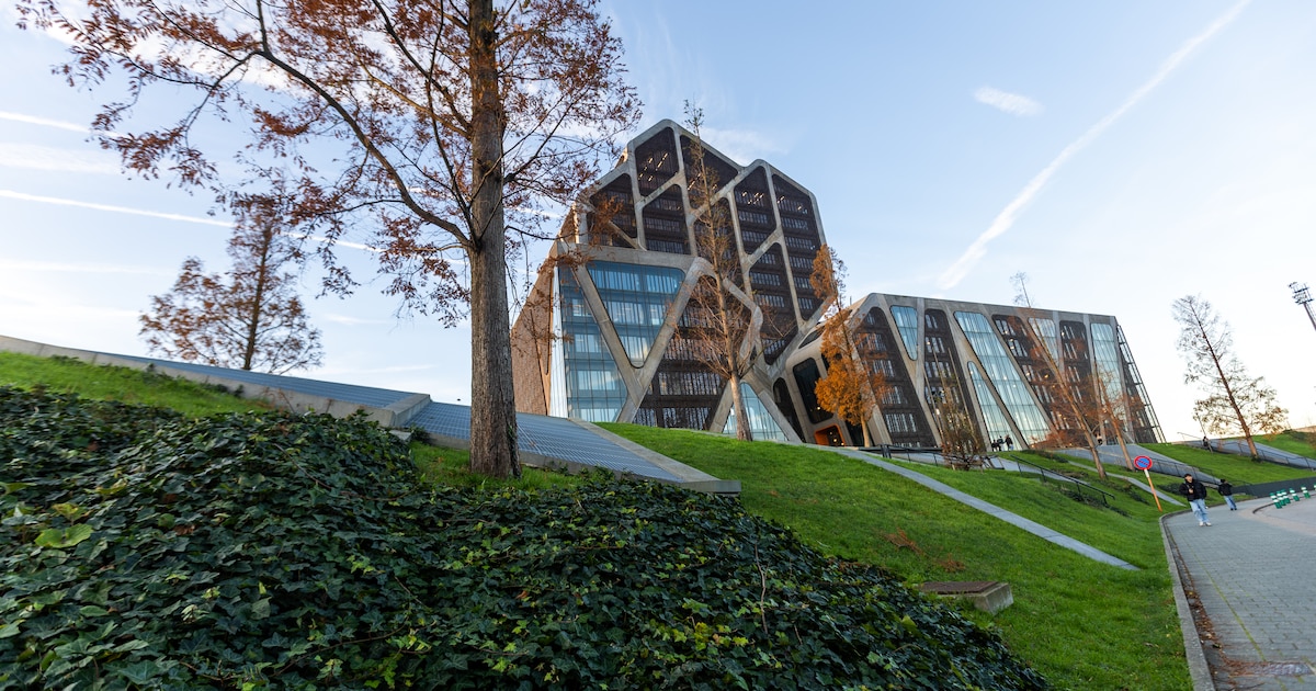 Dove man dronken achter het stuur: ‘Ik heb de politie niet opgemerkt’