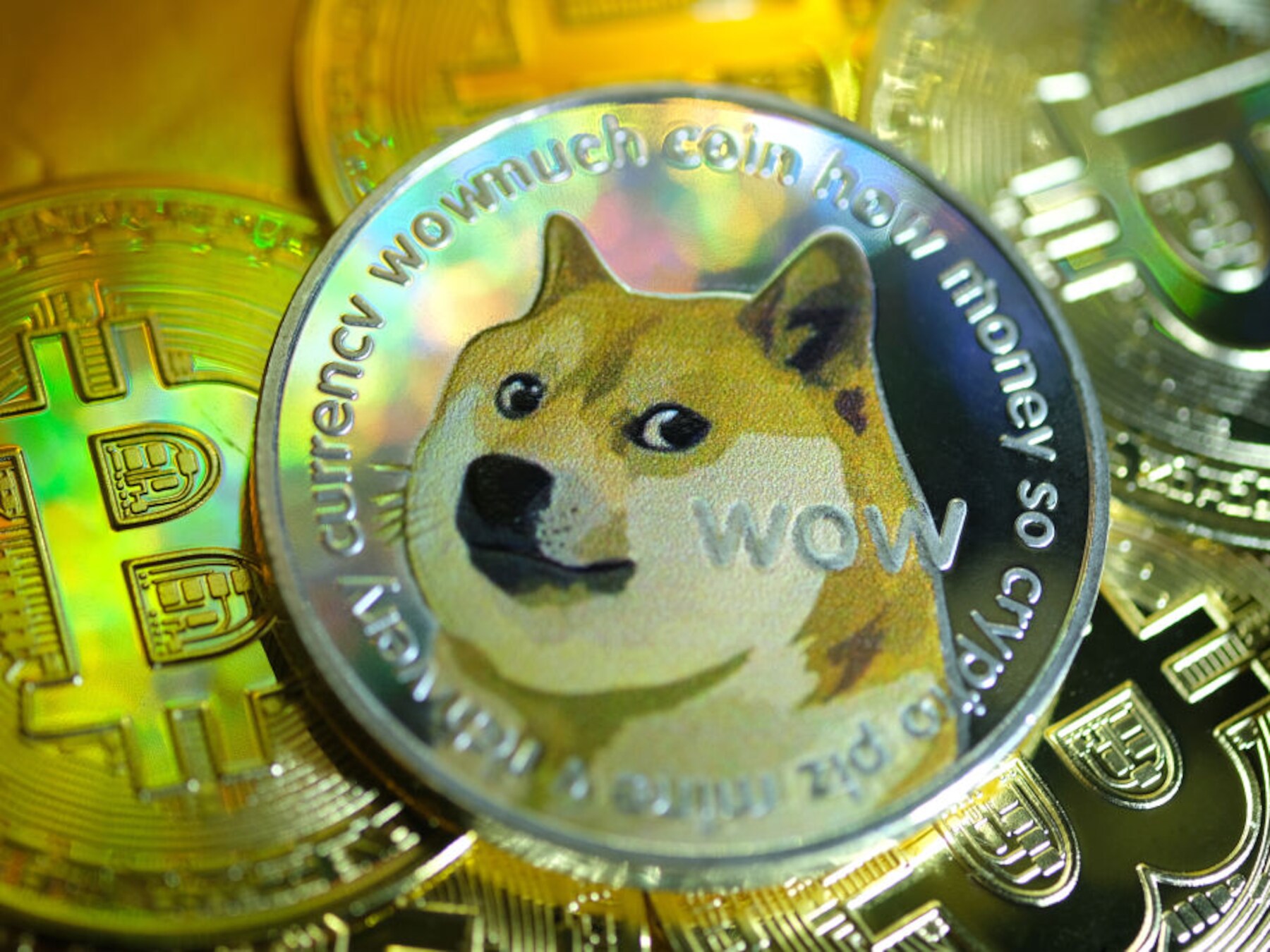 Dogecoin op recordhoogte nadat cryptomunt met 11.000 procent stijgt op  enkele maanden | Mijn Geld | HLN.be