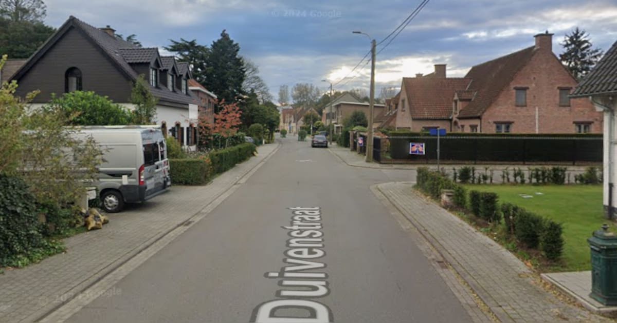 Politie zet speurhond, drone en helikopter in na inbraak in Duivenstraat in Mechelen, verdachten ont