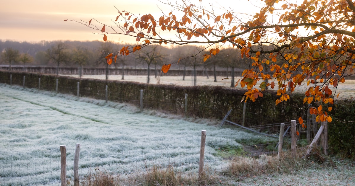 KIJK. Deze ochtend kleurde de provincie voor het eerst ijzig wit