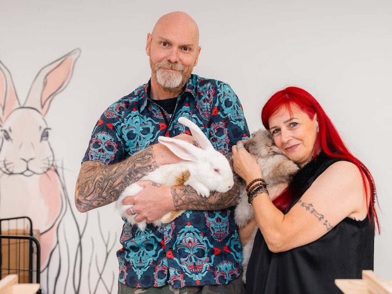 Renate en Filip openen in Gent ‘Bunny and Friends Café’, het eerste konijnencafé van ons land. 