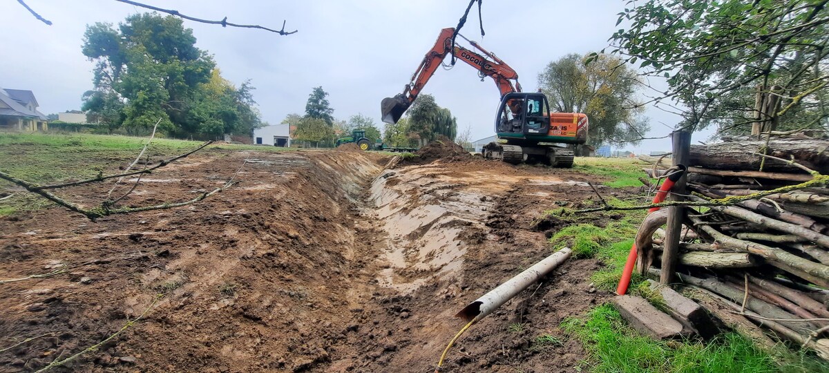 Herstel van de Mierenbeek in Merchtem: een boost voor biodiversiteit en ...