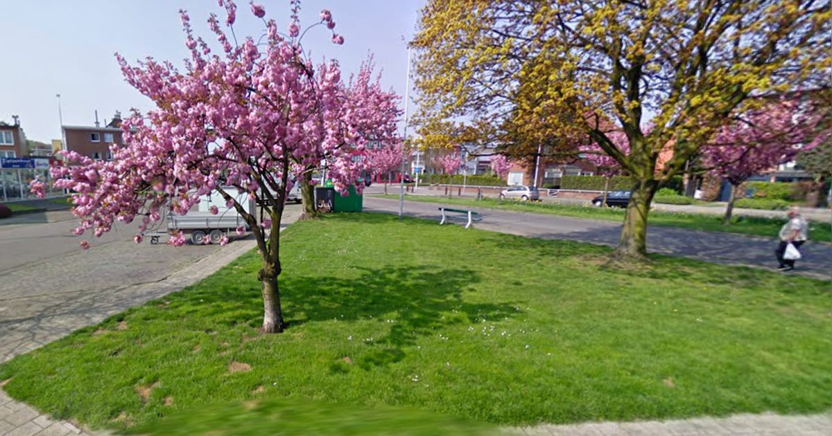 Heraanleg groenzone Venneborglaan-Ertbruggelaan in Deurne