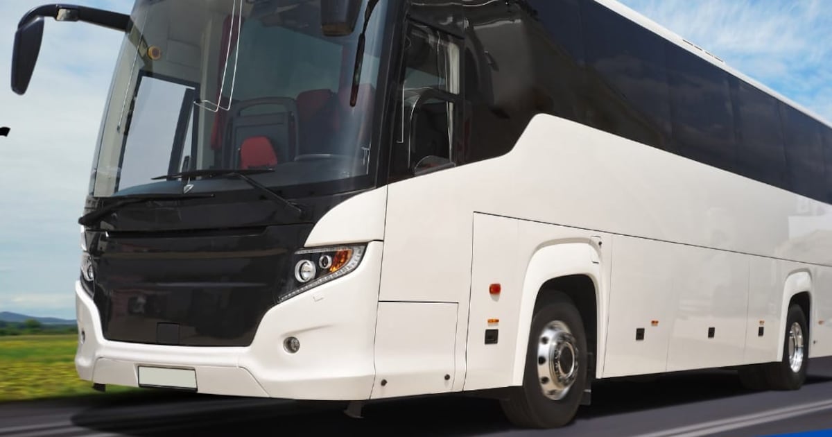 Laarne koopt dan toch nieuwe schoolbus: “Goedkoper dan werken met ...