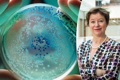 20 personen in woonzorgcentra ziek en 4 besmette personen overleden: hoe gevaarlijk is een STEC-infectie? “Je kan geen antibiotica toedienen”