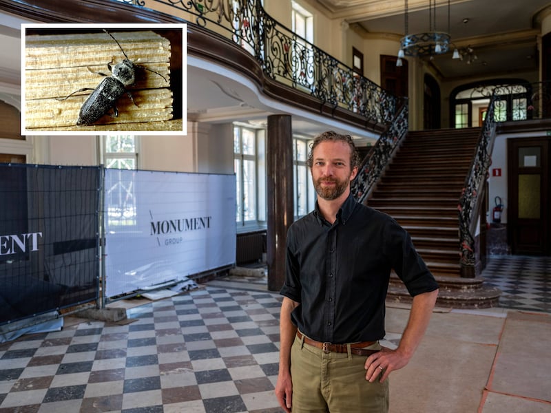 Kasteel op de grens bij Putte zoekt exploitant, ook Nederlanders zijn welkom: ‘We merken bij Vlaamse firma’s een barrière’