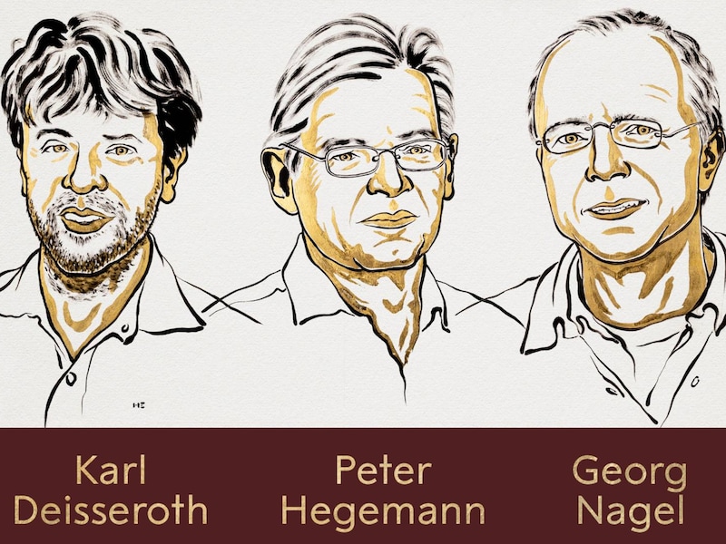 De Nobelprijs voor Geneeskunde gaat naar neurowetenschappers Karl Deisseroth, Peter Hegemann en Georg Nagel.