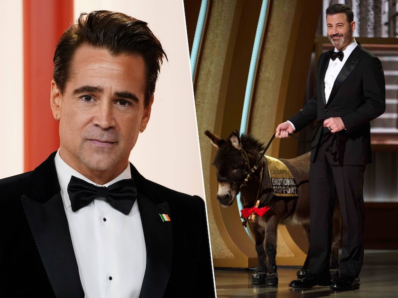 Colin Farrell en Jenny de ezel zijn dé meme van de Oscars: “Zijn gezicht straalt pure blijdschap uit”