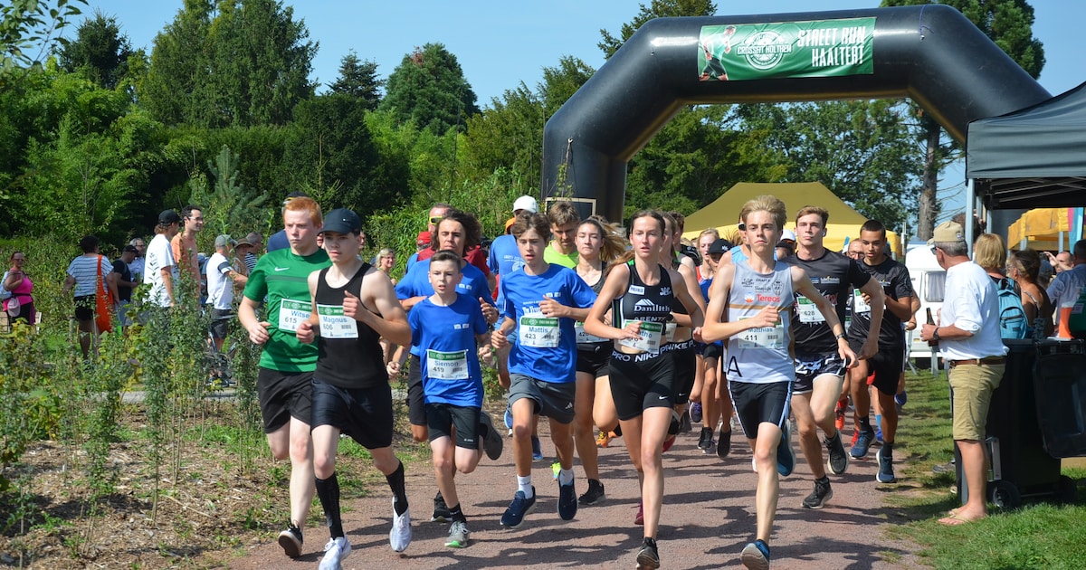 Wat te doen in de Denderstreek en Vlaamse Ardennen dit weekend? Van stratenloop tot 24 uur klimmen