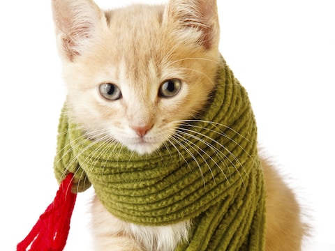 © Thinkstock.